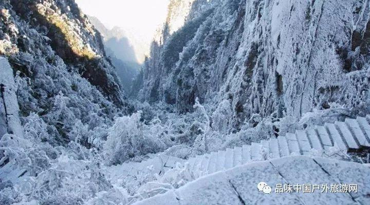 加入aj黑脚趾(黑红)脚后跟有这个标签是不是真的星球,开启知识新旅程